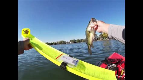 chatterbait live|Fall Bass Fishing